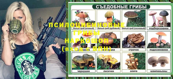 Альфа ПВП Дмитровск