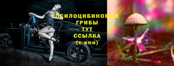 таблы Дмитриев